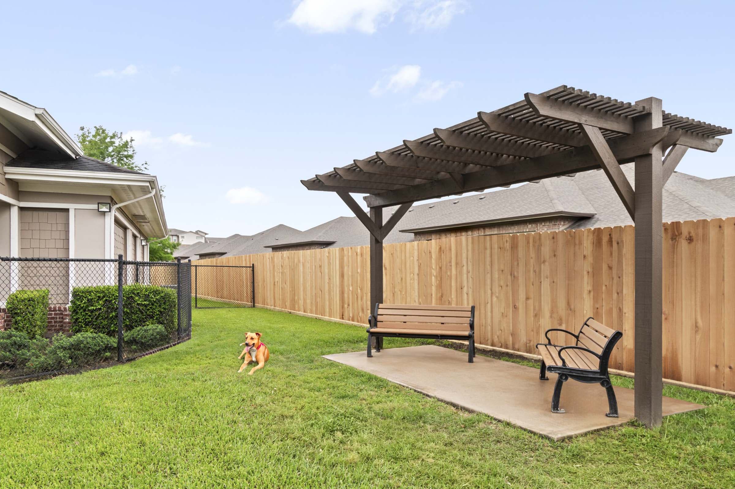 Your Pets Will Love it Here