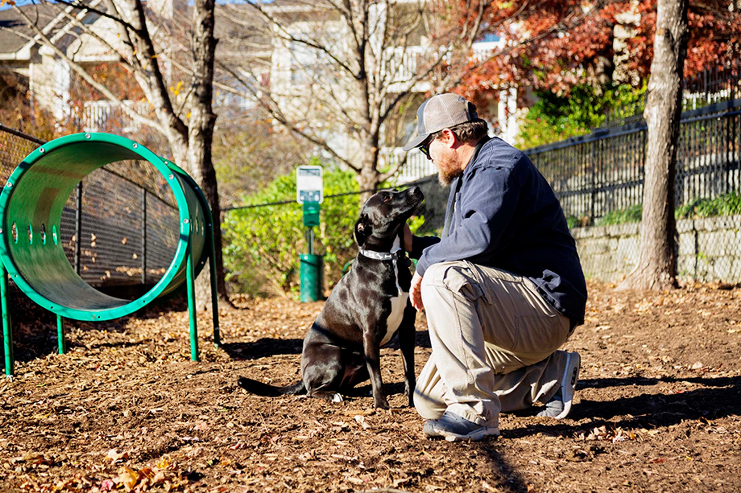 Off-Leash Dog Park