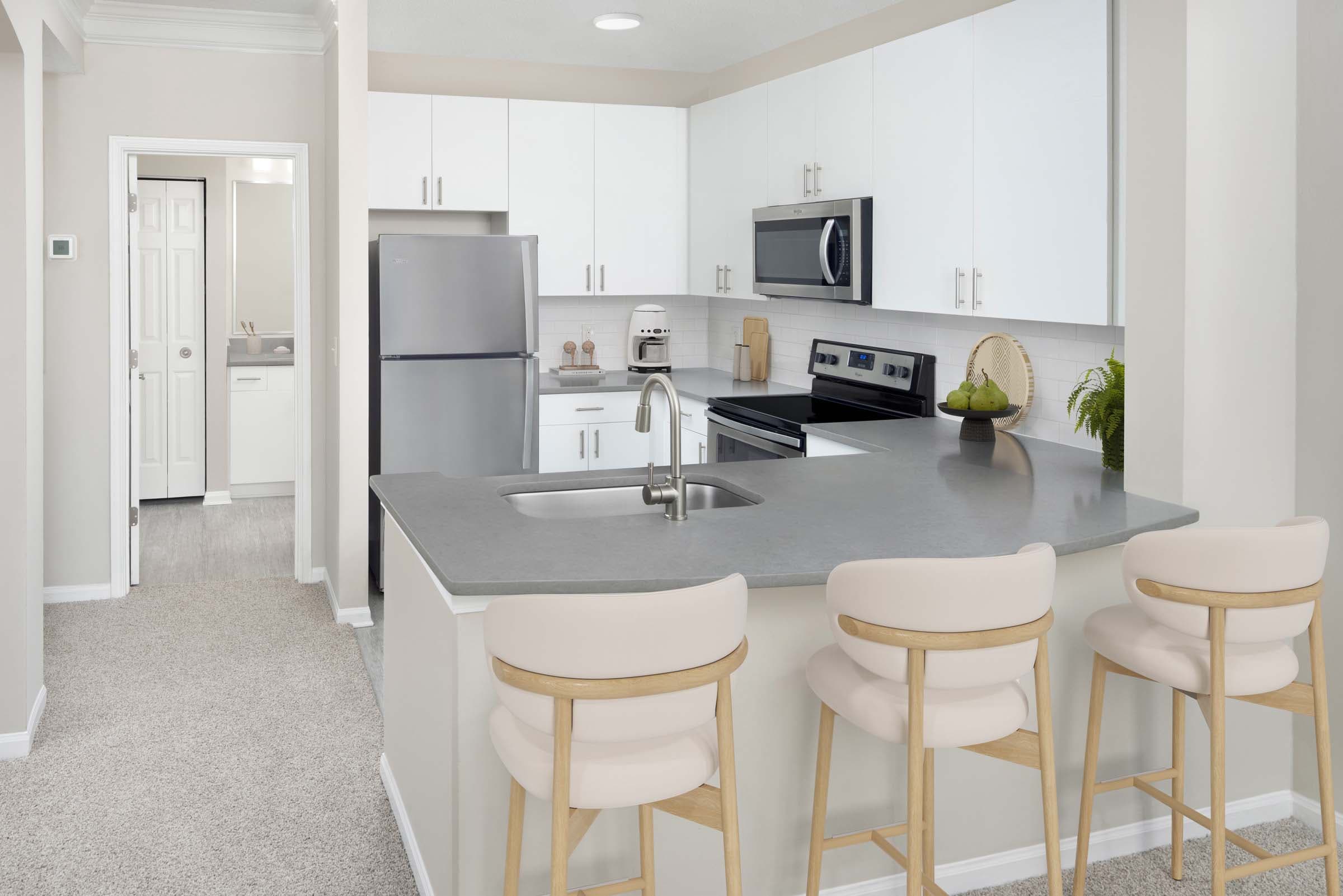 Apartment Home Kitchen