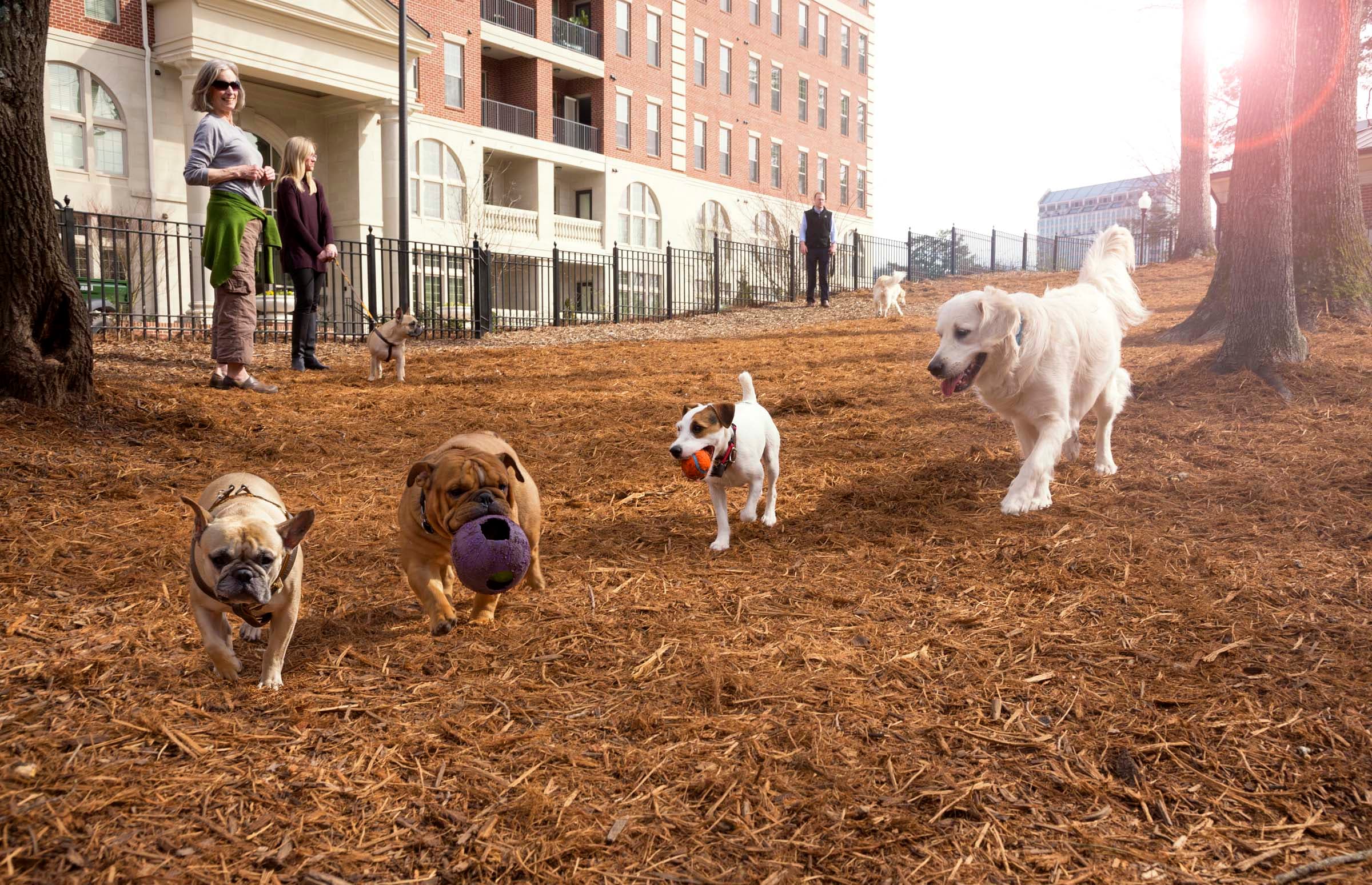 Private Fenced Off-Leash Dog Park
