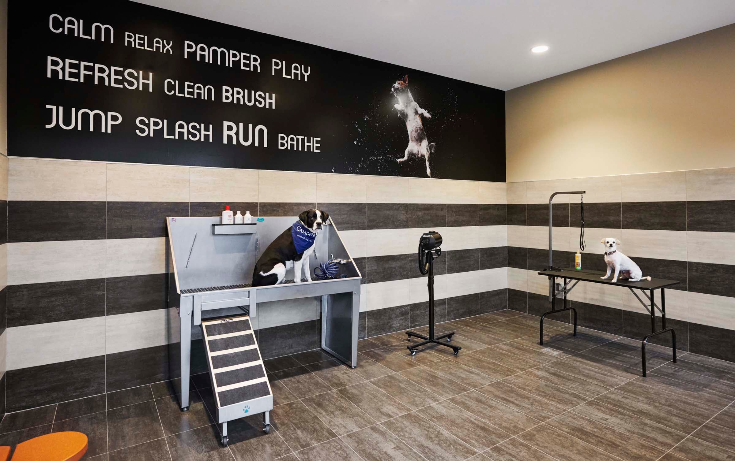 Paw Spa Pet Grooming Lounge