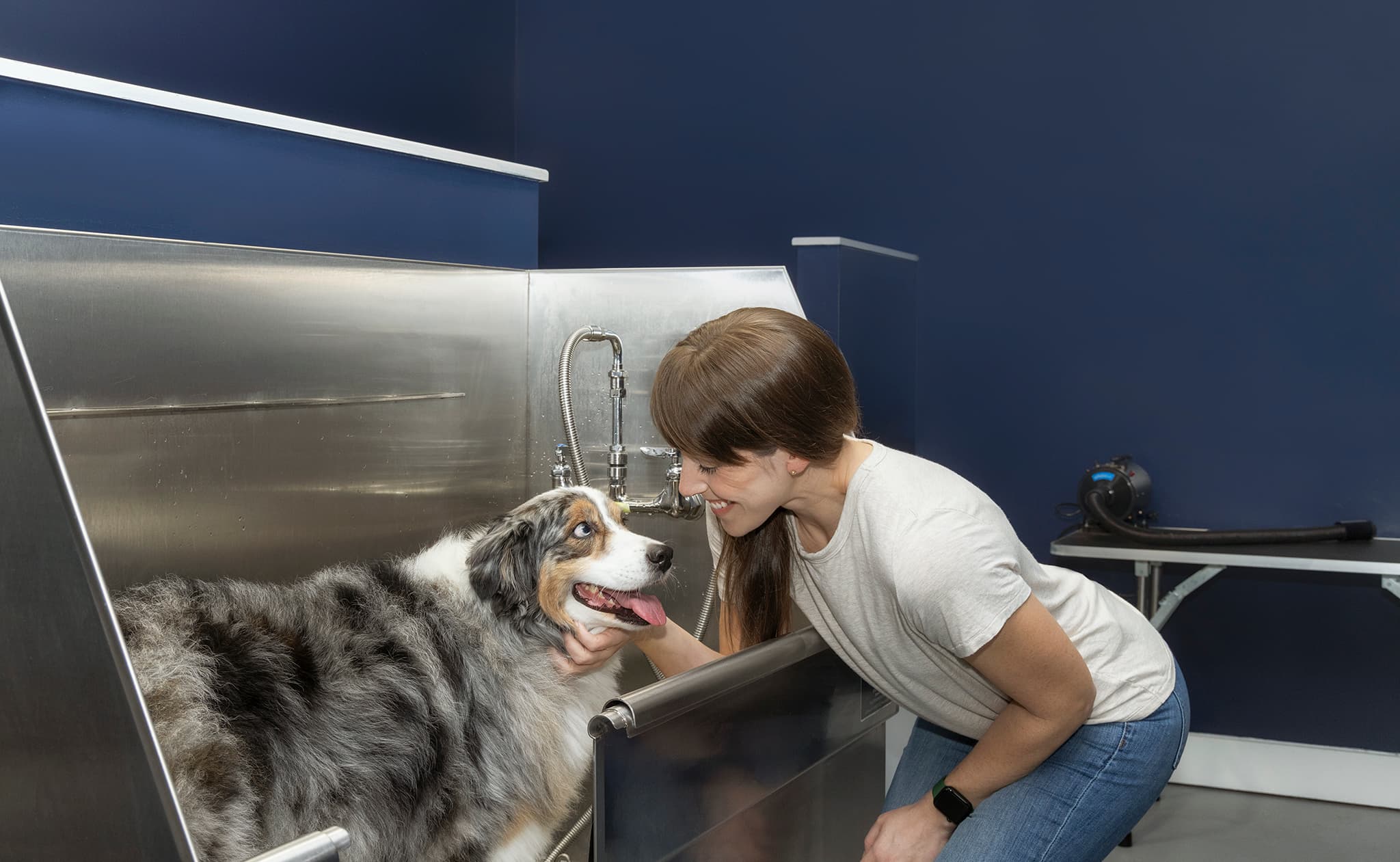 Paw Spa with Wash Station