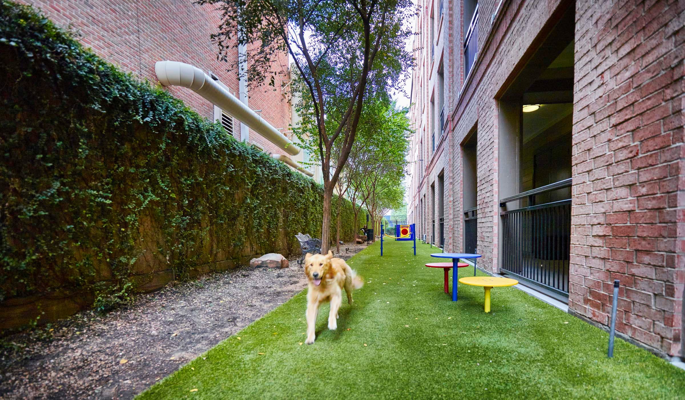 Fenced Dog Run for our Four Legged Residents