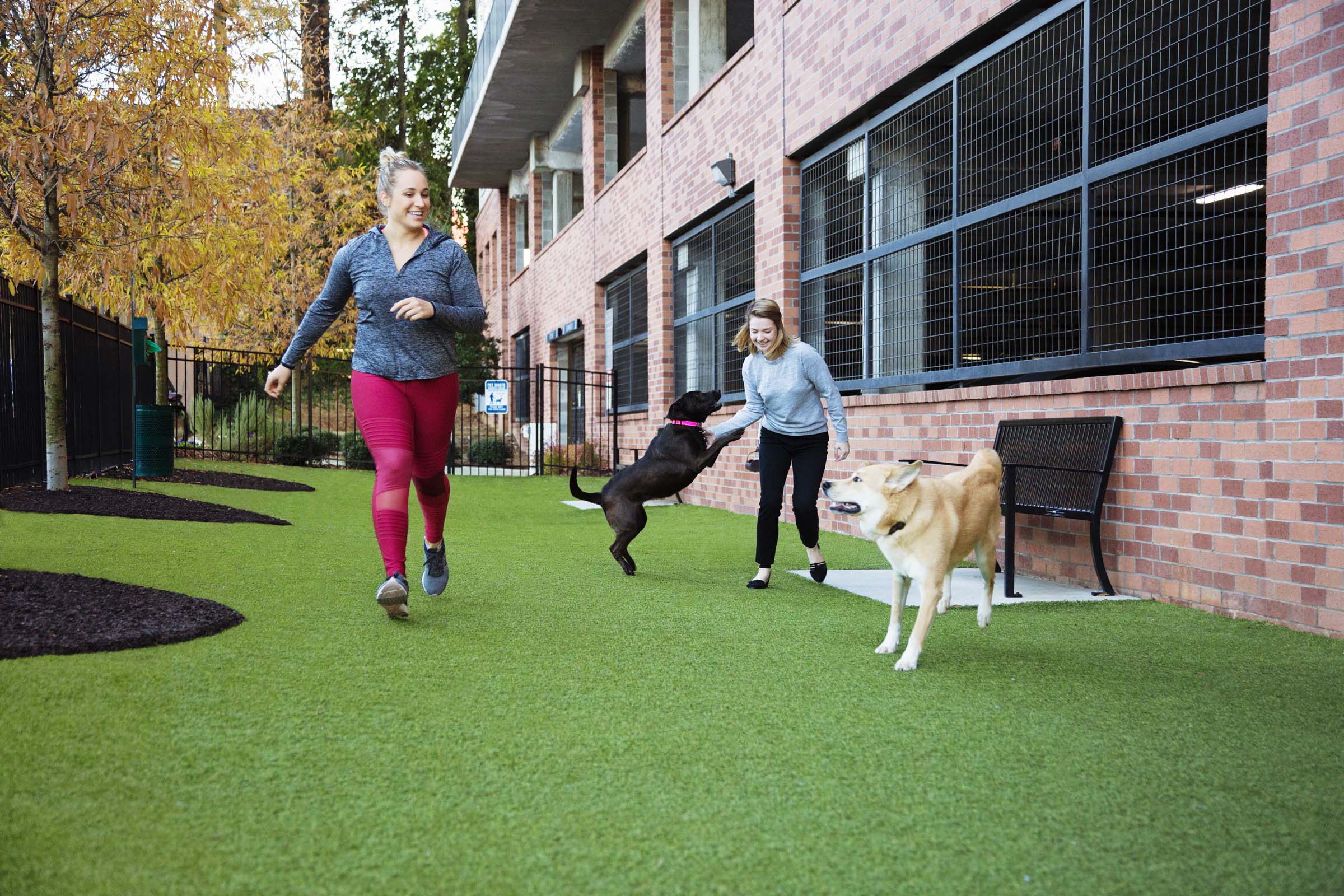 Private, Community Dog Park