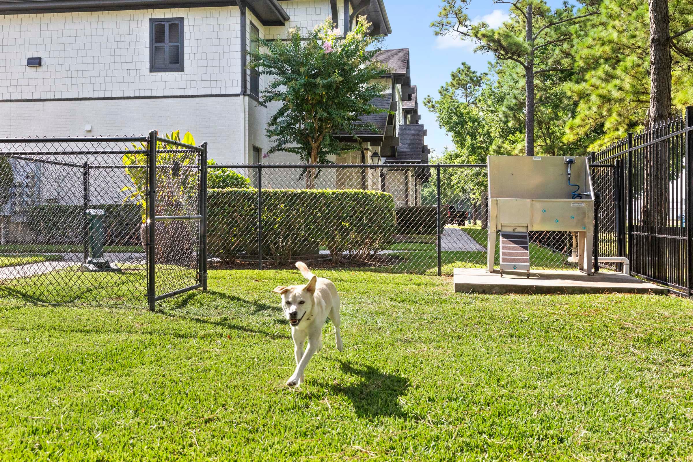 Fenced In Private Dog Park with Pet Washing Station